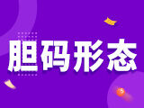 第2024332期排列三推荐：各形态分析 - 胆码形态